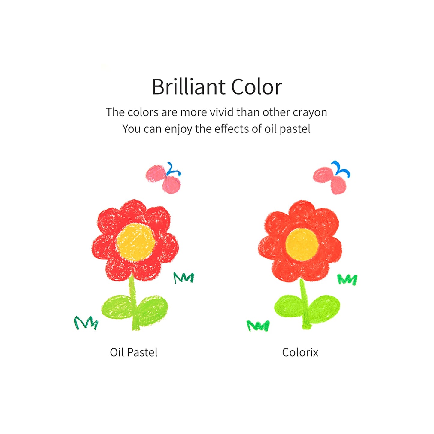 AMOS Korea COLORIX 3 in 1 Silky Crayons, Twistable, Washable, Smooth, Safe and Non-toxic, 12 colors in Plastic case